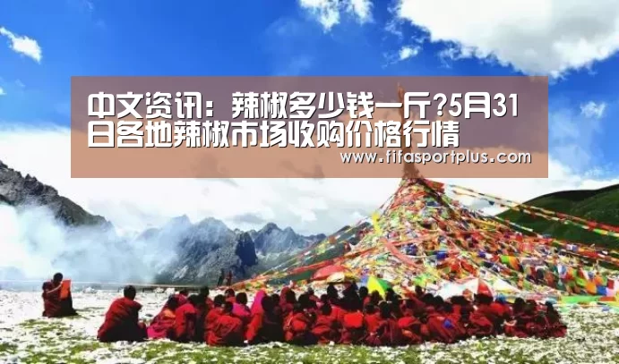 中文资讯：辣椒多少钱一斤?5月31日各地辣椒市场收购价格行情