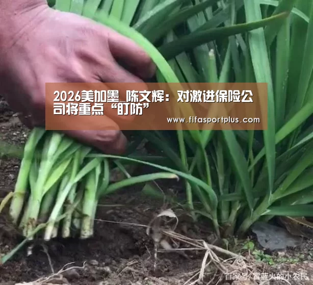 2026美加墨_陈文辉:对激进保险公司将重点“盯防”(图2) 焦点比赛
