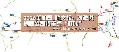 2026美加墨_陈文辉:对激进保险公司将重点“盯防”(图1) 2026美加墨